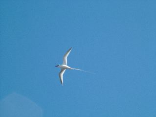 DSCF3683.JPG