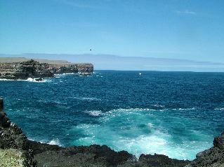 DSCF3686.JPG