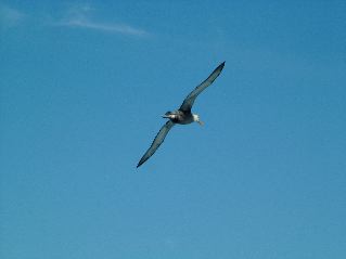 DSCF3688.JPG