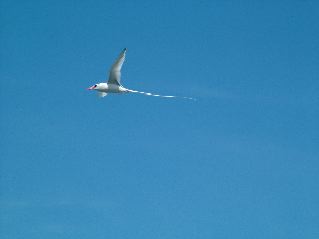 DSCF3689.JPG