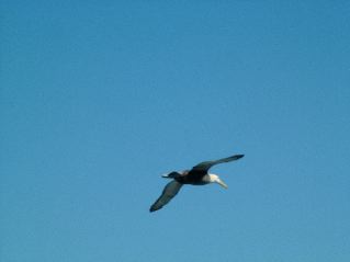 DSCF3690.JPG