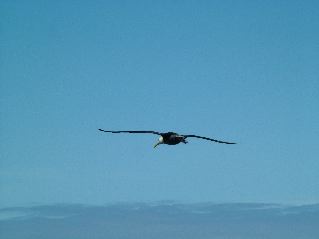 DSCF3691.JPG