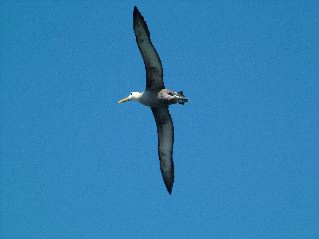 DSCF3693.JPG
