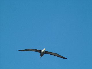 DSCF3694.JPG