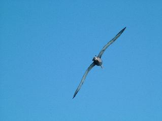 DSCF3695.JPG