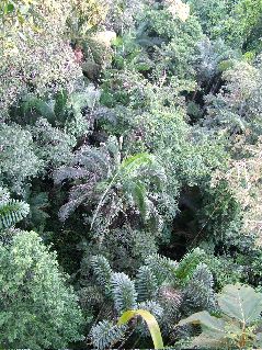 DSCF3124.JPG