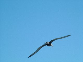 DSCF3697.JPG
