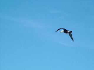 DSCF3698.JPG
