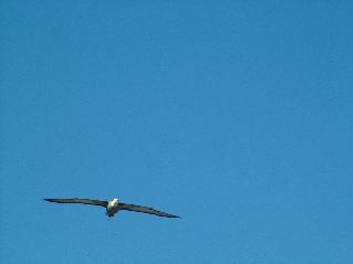 DSCF3699.JPG