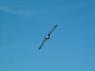 DSCF3700.JPG
