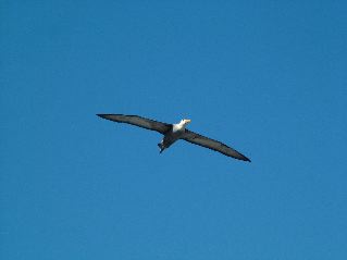 DSCF3705.JPG