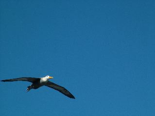 DSCF3707.JPG
