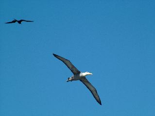 DSCF3708.JPG