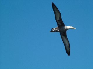 DSCF3711.JPG