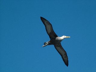 DSCF3712.JPG