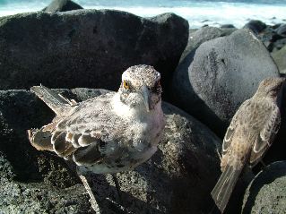 DSCF3714.JPG