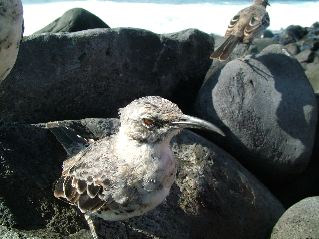 DSCF3715.JPG