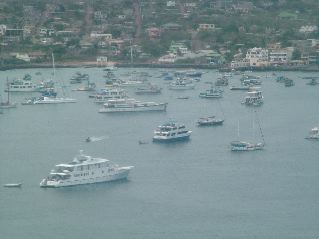 DSCF3175.JPG
