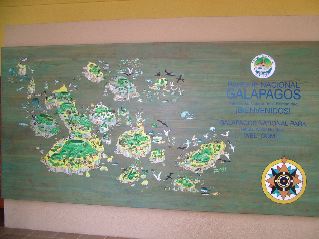 DSCF3734.JPG