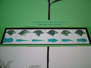 DSCF3735.JPG