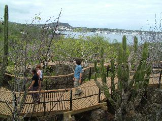 DSCF3738.JPG