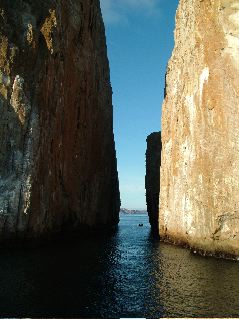 DSCF3193.JPG