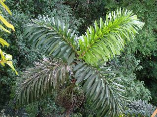 DSCF3127.JPG