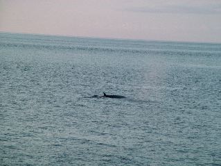 DSCF3213.JPG