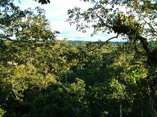 DSCF3128.JPG