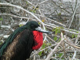 DSCF3223.JPG