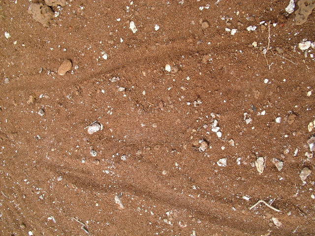 DSCF1396.JPG