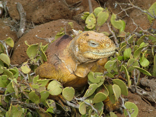 DSCF1405.JPG