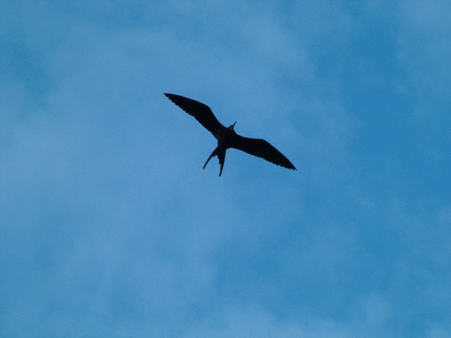 DSCF1416.JPG