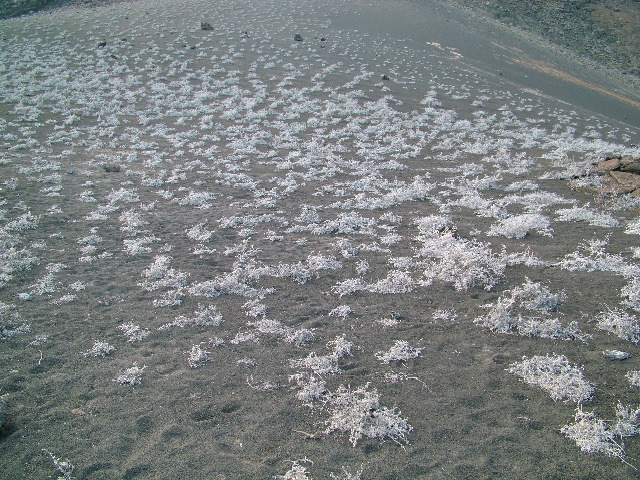 DSCF1417.JPG