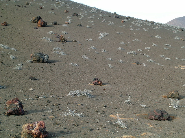 DSCF1419.JPG