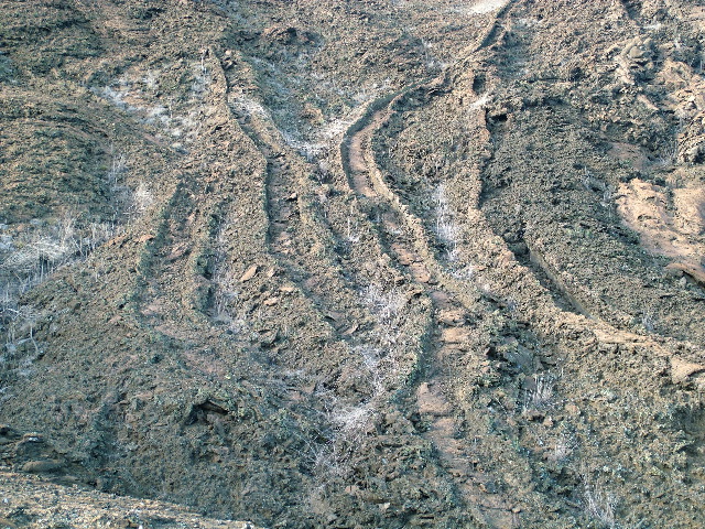 DSCF1420.JPG