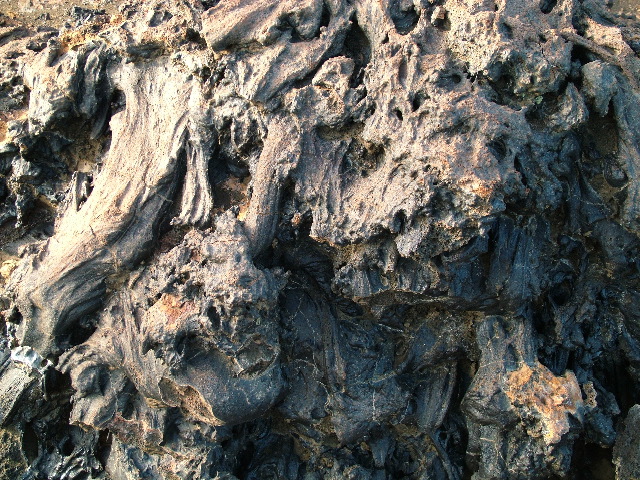 DSCF1422.JPG