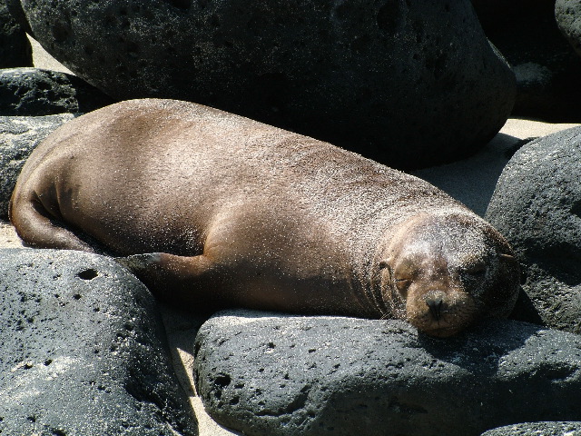 DSCF1179.JPG