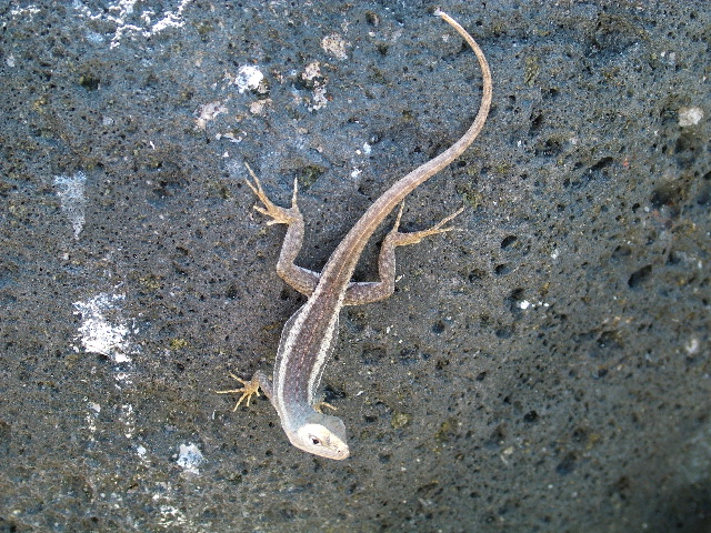 DSCF1182.JPG