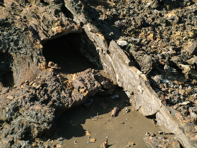 DSCF1444.JPG