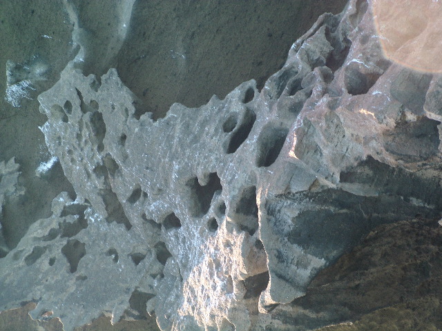 DSCF1459.JPG