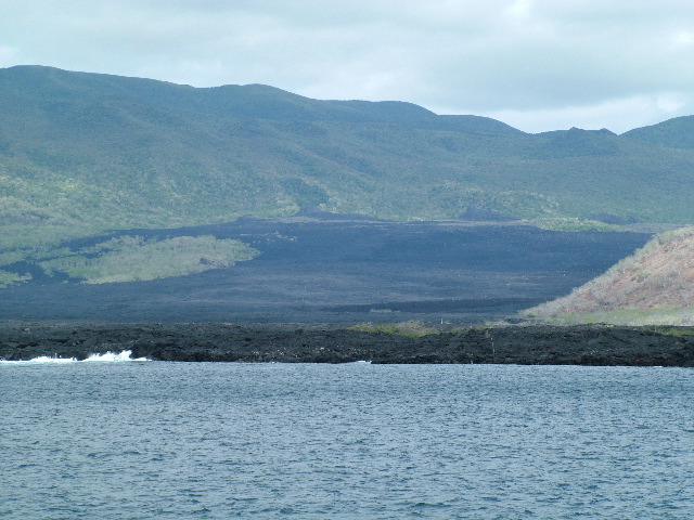 DSCF1471.JPG