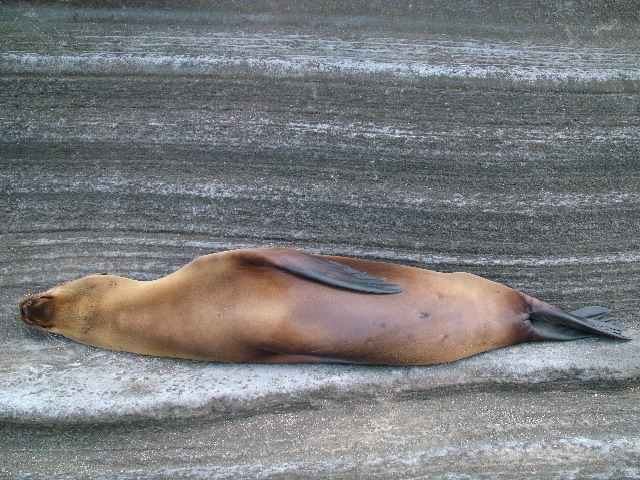 DSCF1472.JPG