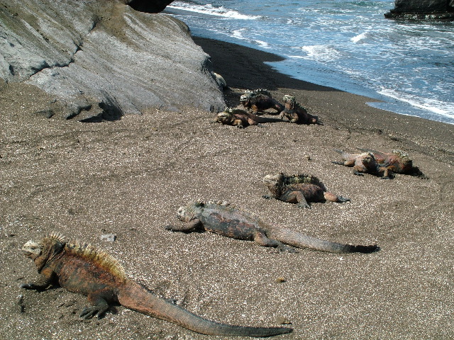 DSCF1474.JPG
