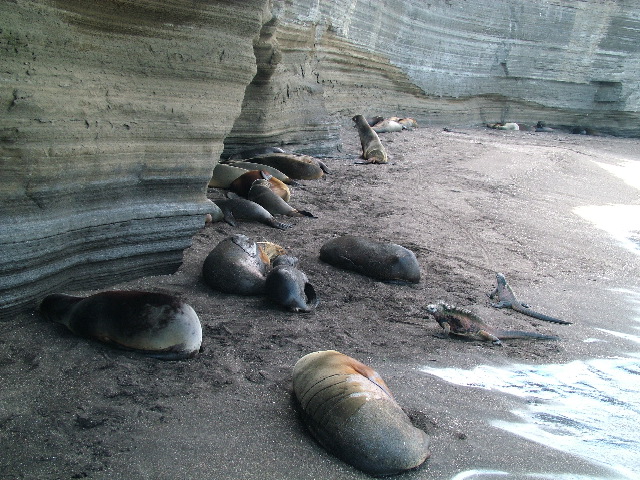 DSCF1476.JPG