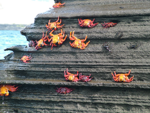 DSCF1480.JPG