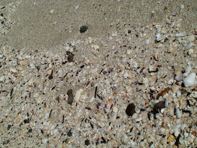 DSCF1185.JPG