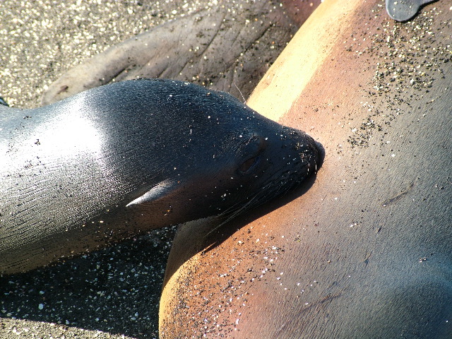 DSCF1494.JPG