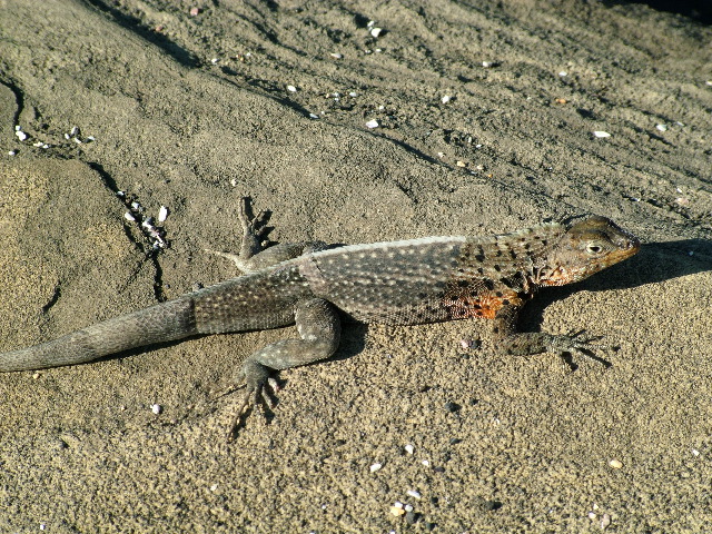 DSCF1503.JPG