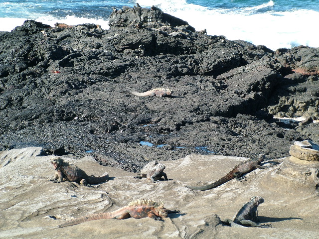 DSCF1511.JPG